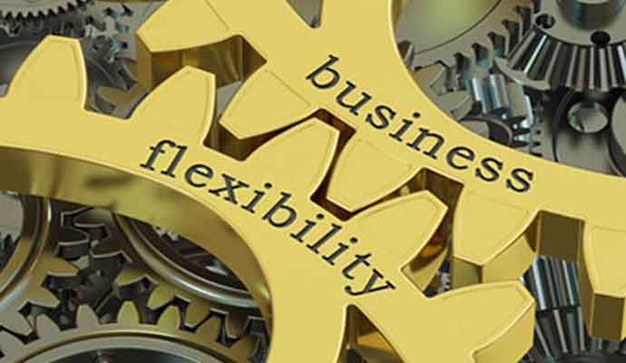 business flexibility cogs