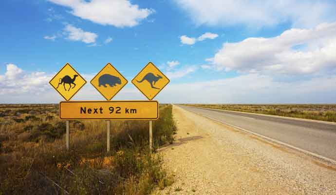 wildlife warning road sign, Australia