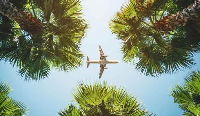 airplane flight. tropical travel