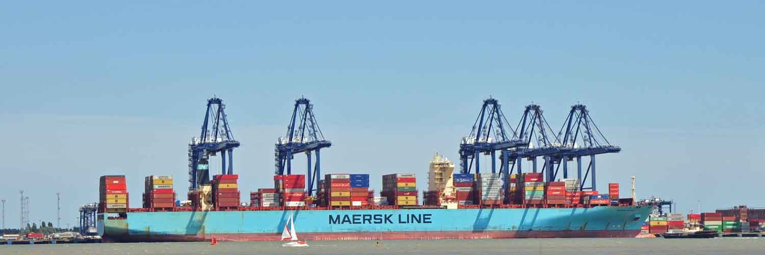 container ship dockside felixstowe one of the freeports