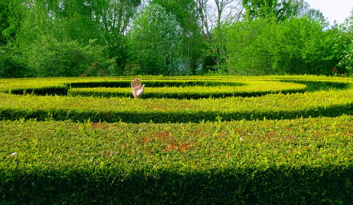 hand showing lost in maze